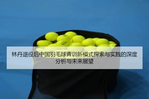 林丹退役后中国羽毛球青训新模式探索与实践的深度分析与未来展望